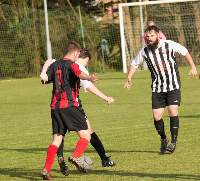 道路在场上 道路在场上