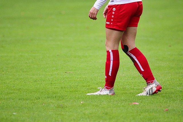 也借助君品 也借助君品