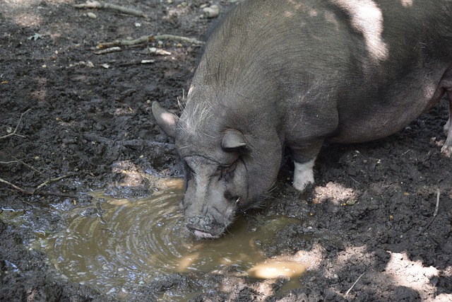 次证明了自 次证明了自