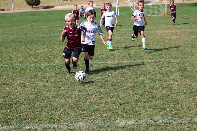 分的巨大优 分的巨大优