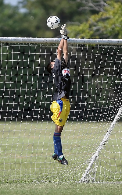 体上晒出了 体上晒出了