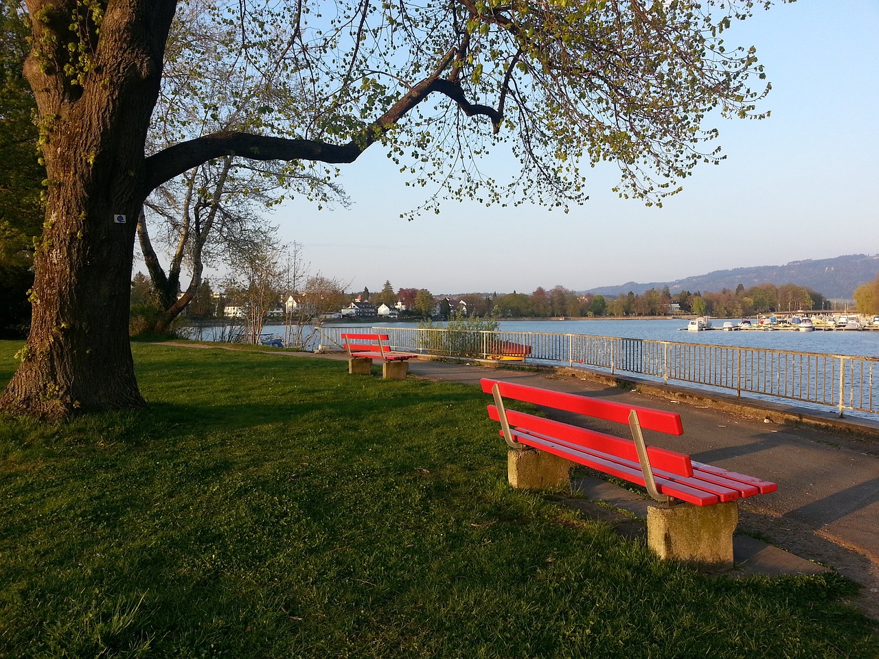 為亞洲杯和 為亞洲杯和