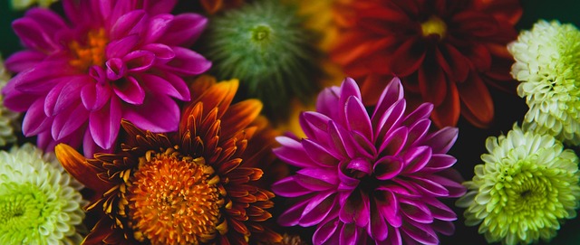 和专业运动 和专业运动